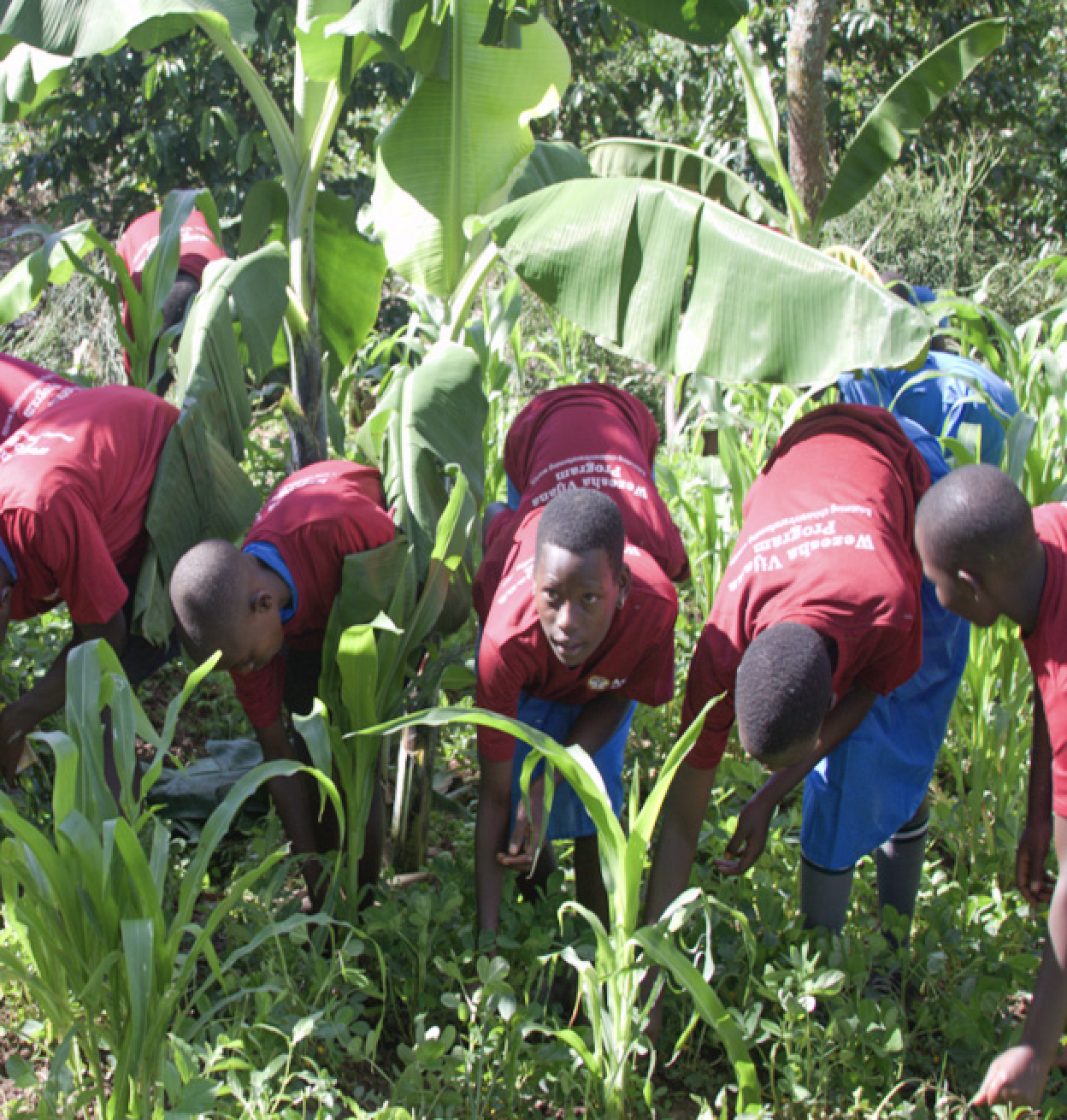 Planting seeds of change